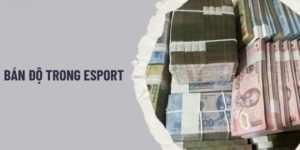 bán độ trong esports