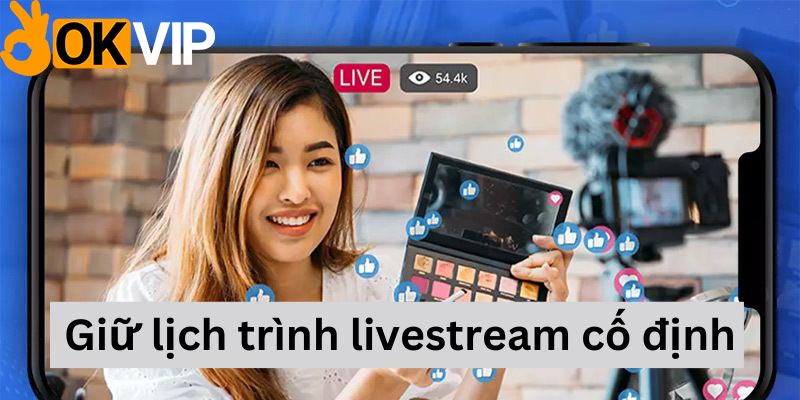 livestream nhiều view giữ lịch trình