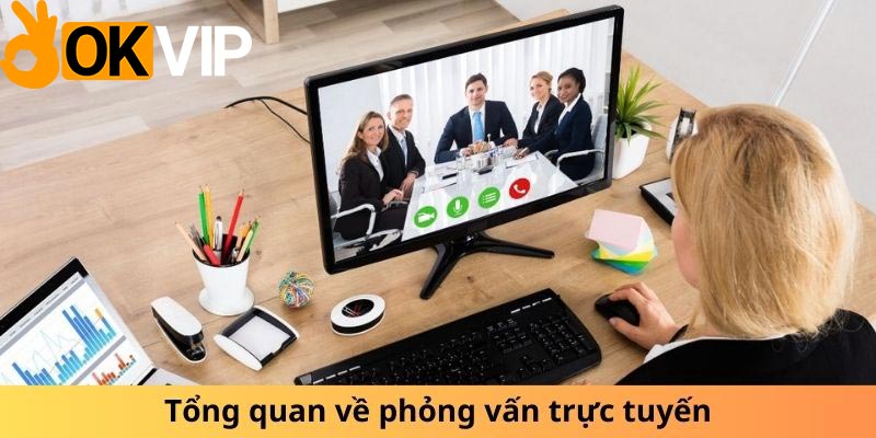 tổng quan phỏng vấn online okvip