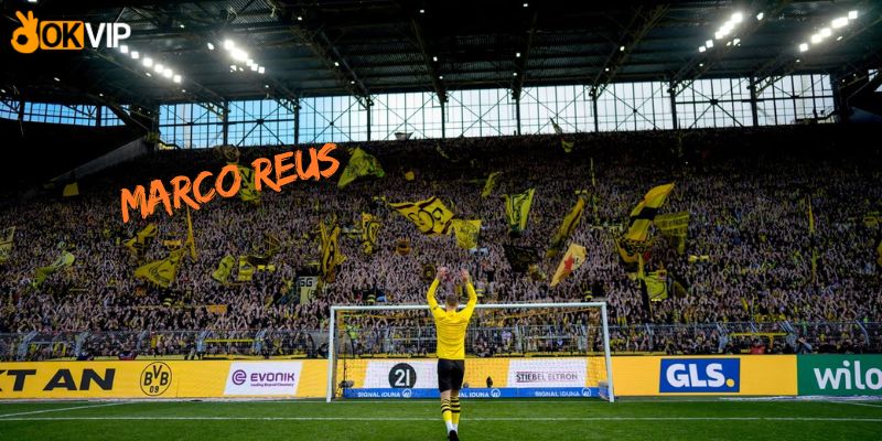 Reus gửi lời tri ân khán giả Dortmund sau khi quyết định chia tay vào cuối mùa